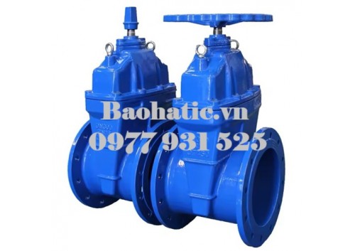 Van cổng ty chìm nắp chụp